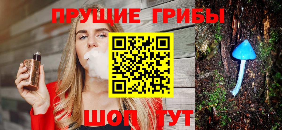 Галлюциногенные грибы мухоморы  Псилоцибиновые грибы MAGIC MUSHROOMS  Вход с VPN  Знаменск 
